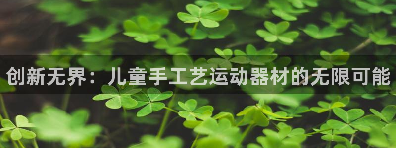 凯捷体育开户：创新无界：儿童手工艺运动器材的无限可能