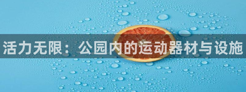 凯捷体育招商电话号码：活力无限：公园内的运动器材与设