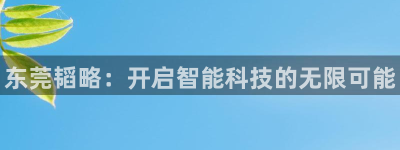 凯捷体育开户：东莞韬略：开启智能科技的无限可能
