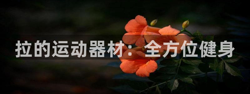 凯捷体育招商电话地址：拉的运动器材：全方位健身