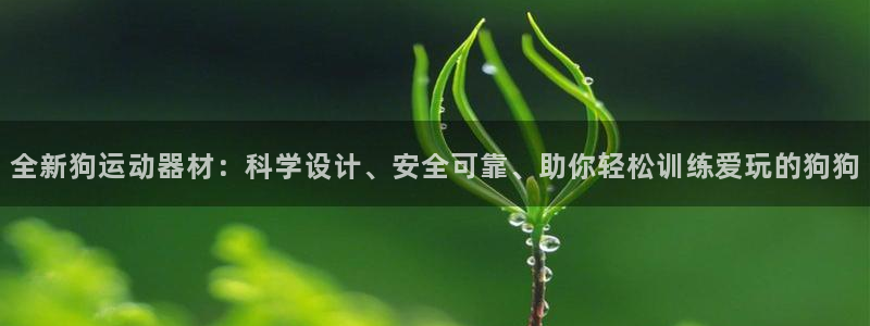 凯捷体育娱乐是那个系列的台子：全新狗运动器材：科学设