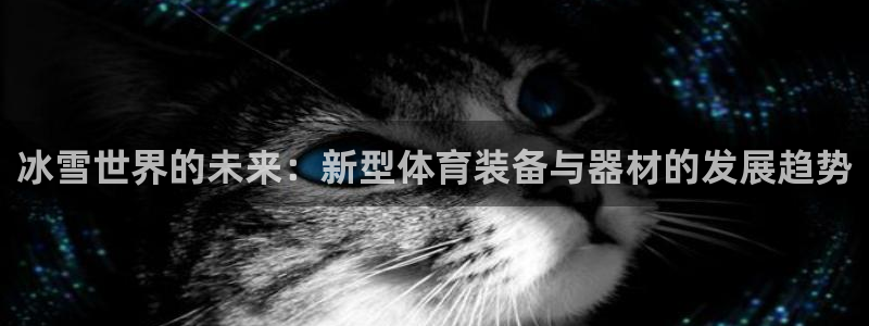 凯捷体育五金厂：冰雪世界的未来：新型体育装备与器材的