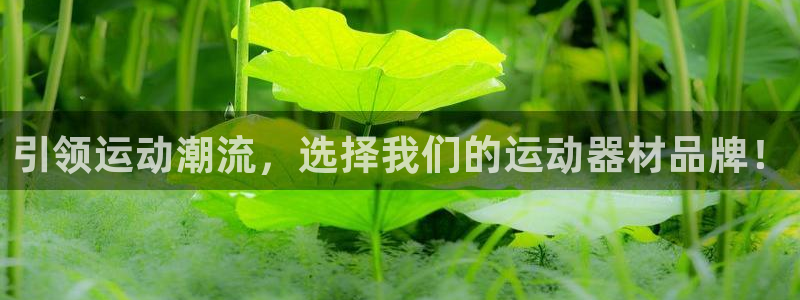 凯捷体育集团官网首页网址