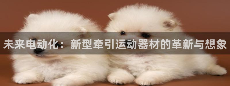 凯捷体育娱乐是那个系列的台子：未来电动化：新型牵引运