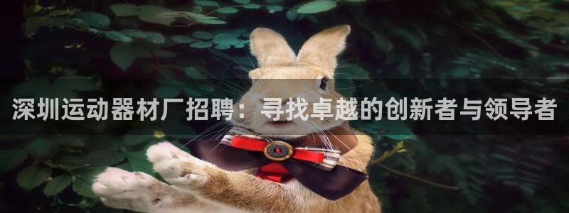 凯捷体育娱乐平台：深圳运动器材厂招聘：寻找卓越的创新
