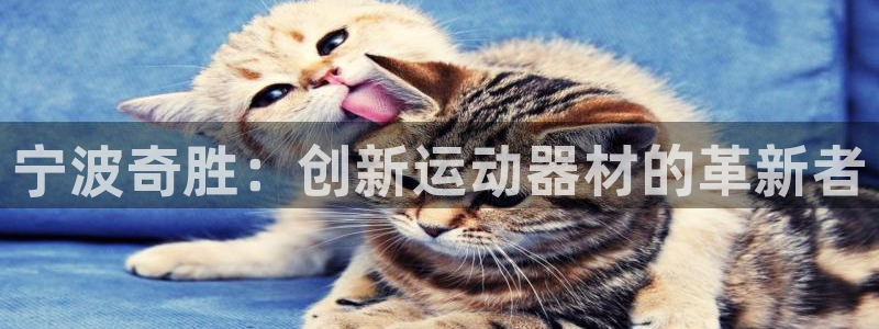 凯捷体育娱乐：宁波奇胜：创新运动器材的革新者