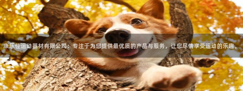 凯捷体育软件