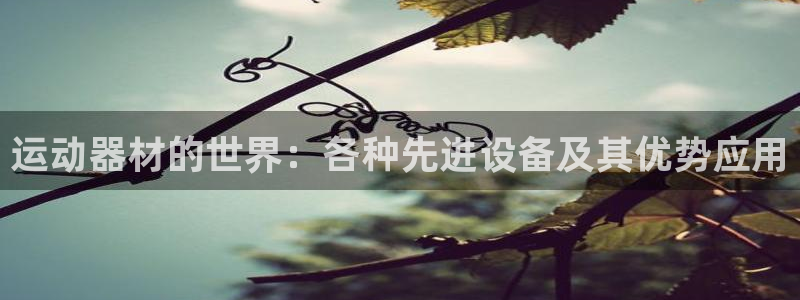 凯捷体育招商电话号码是多少啊：运动器材的世界：各种先