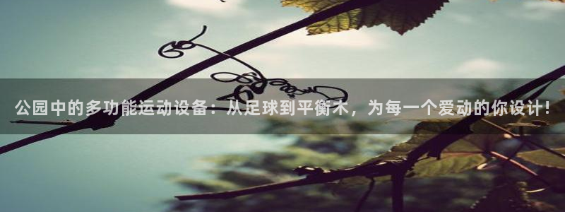 凯捷体育招商：公园中的多功能运动设备：从足球到平衡木