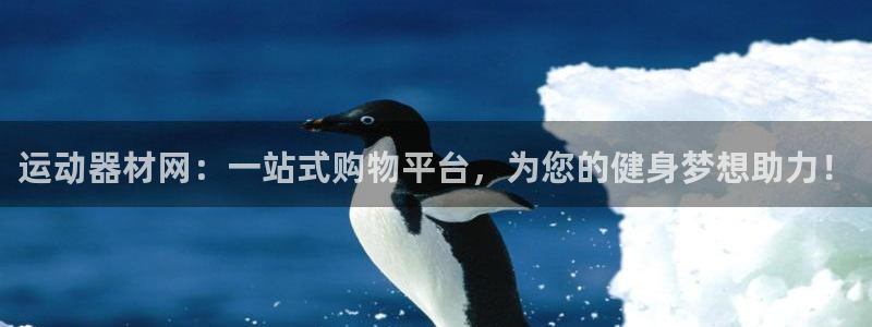 凯捷体育平台注册：运动器材网：一站式购物平台，为您的