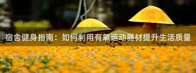 凯捷体育招商电话号码查询：宿舍健身指南：如何利用有氧