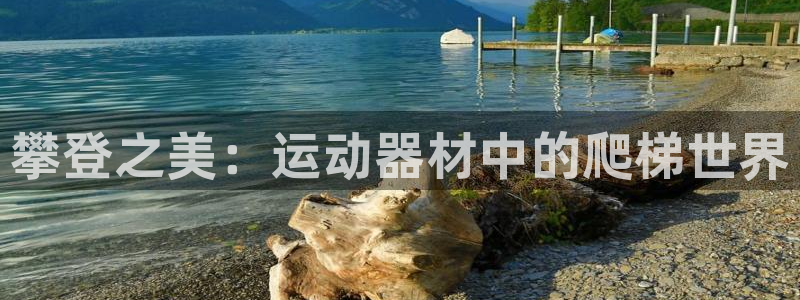 凯捷体育招商电话：攀登之美：运动器材中的爬梯世界