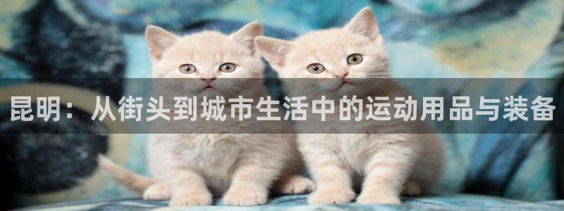凯捷体育招商电话地址查询：昆明：从街头到城市生活中的
