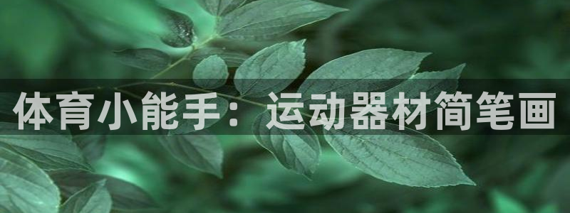凯捷体育招商电话是多少：体育小能手：运动器材简笔画