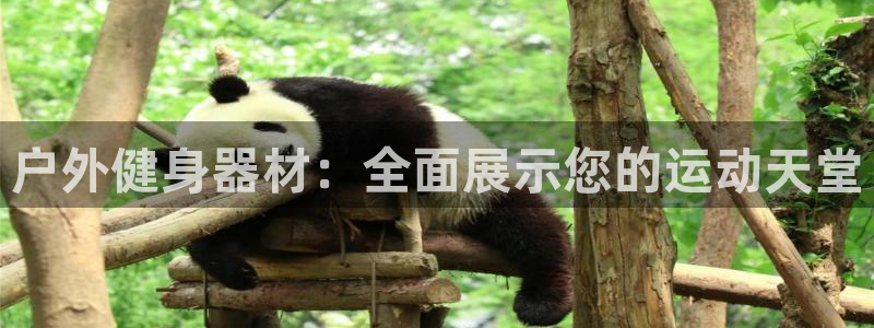 凯捷体育娱乐下载：户外健身器材：全面展示您的运动天堂