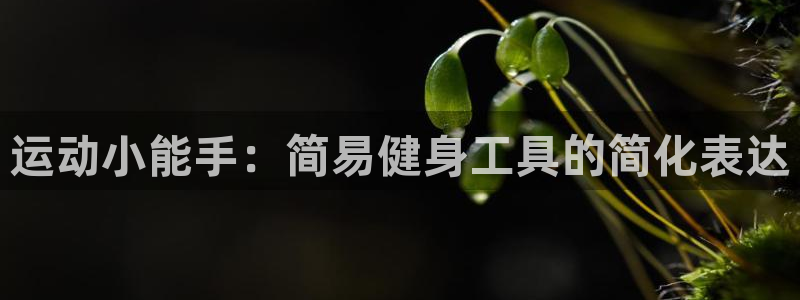 海南凯捷体育发展怎么样：运动小能手：简易健身工具的简化表达