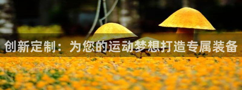 凯捷体育招商：创新定制：为您的运动梦想打造专属装备