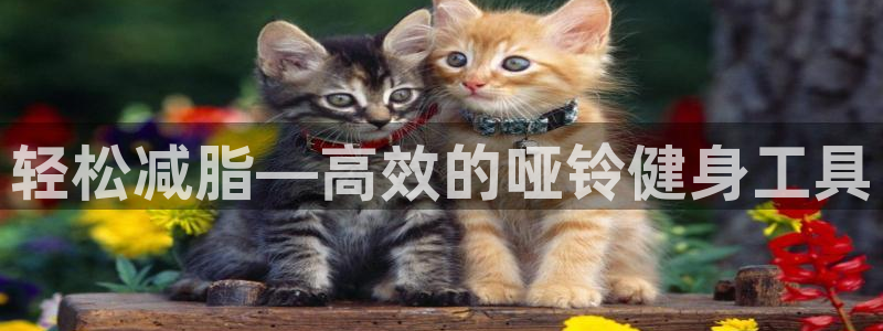 凯捷体育娱乐首页网站大全：轻松减脂—高效的哑铃健身工