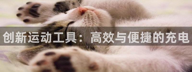 凯捷体育平台假的吗是真的吗吗：创新运动工具：高效与便