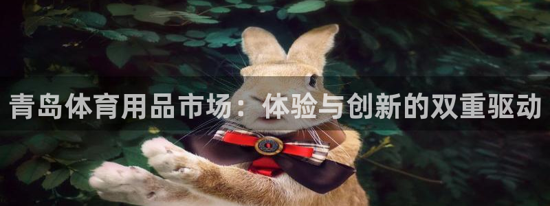 凯捷体育平台注册要钱吗是真的吗：青岛体育用品市场：体