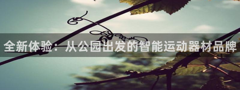 凯捷体育平台注册：全新体验：从公园出发的智能运动器材