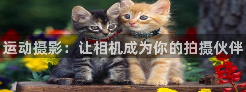 凯捷体育平台注册：运动摄影：让相机成为你的拍摄伙伴
