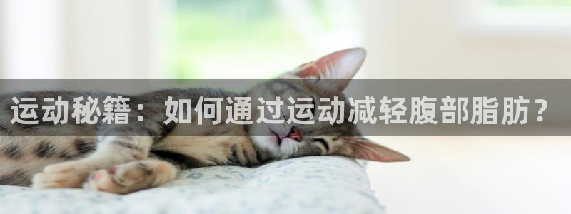 凯捷体育平台假的吗是真的吗吗：运动秘籍：如何通过运动