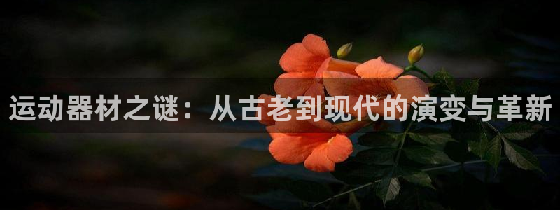 凯捷体育五金厂：运动器材之谜：从古老到现代的演变与革