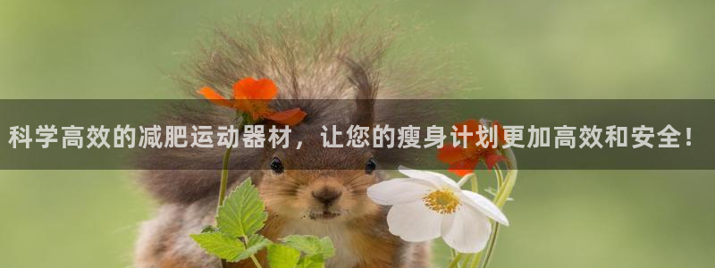 凯捷体育娱乐代理怎么样：科学高效的减肥运动器材，让您