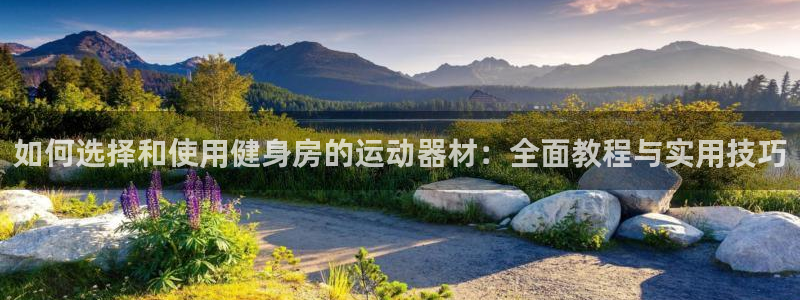 凯捷体育平台是正规平台吗：如何选择和使用健身房的运动