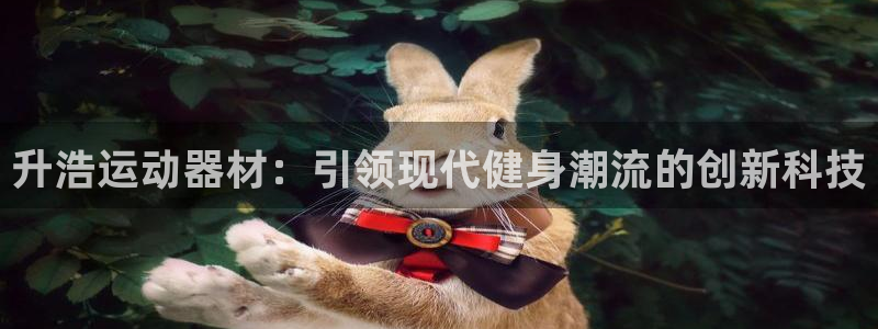 凯捷体育代理：升浩运动器材：引领现代健身潮流的创新科技