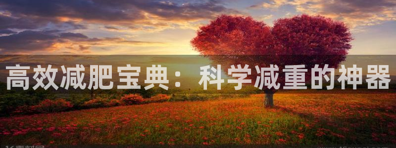 凯捷体育官方：高效减肥宝典：科学减重的神器