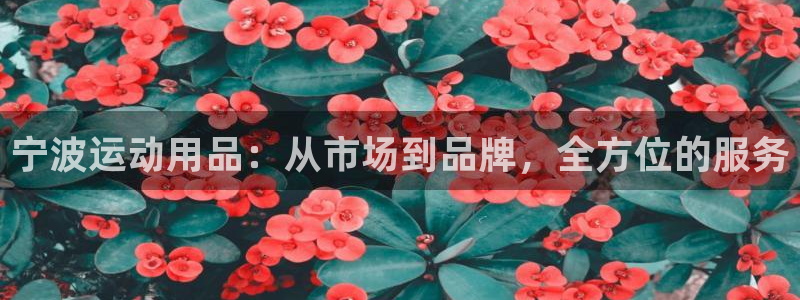 凯捷体育娱乐40996：宁波运动用品：从市场到品牌，
