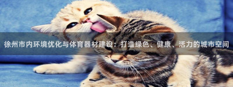 凯捷体育官方：徐州市内环境优化与体育器材建设：打造绿色、健康