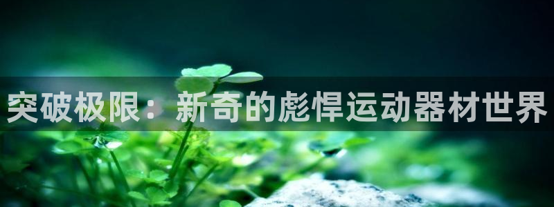 凯捷体育平台注册流程图：突破极限：新奇的彪悍运动器材