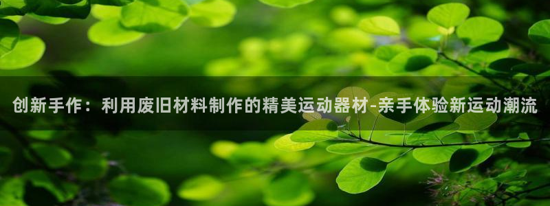 凯捷体育代理：创新手作：利用废旧材料制作的精美运动器