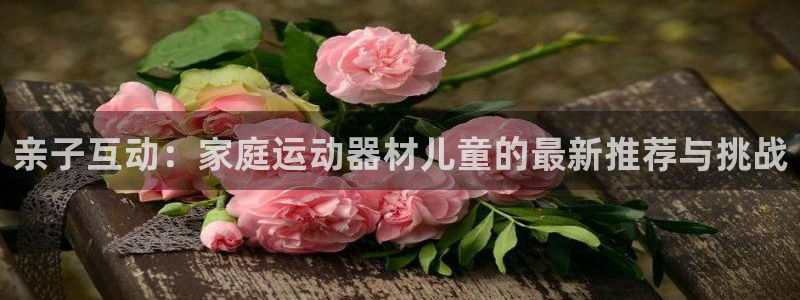凯捷体育招商电话是多少啊：亲子互动：家庭运动器材儿童