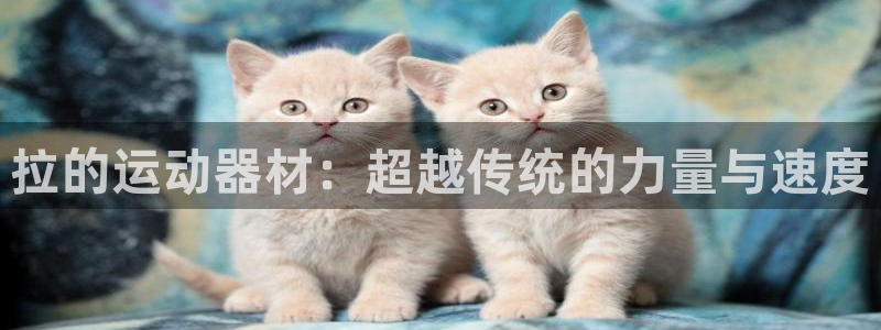 凯捷体育娱乐：拉的运动器材：超越传统的力量与速度