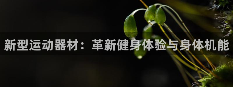 凯捷体育招商电话地址查询：新型运动器材：革新健身体验与身体机
