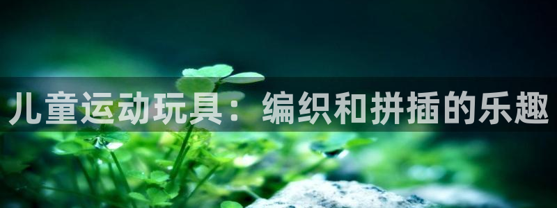 凯捷体育招商电话地址：儿童运动玩具：编织和拼插的乐趣