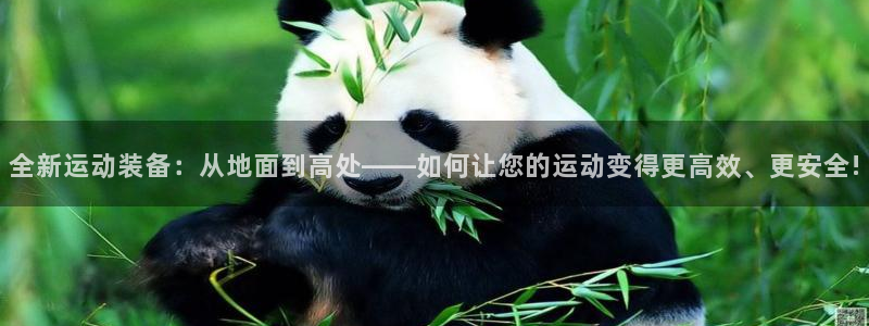 凯捷体育官网：全新运动装备：从地面到高处——如何让您