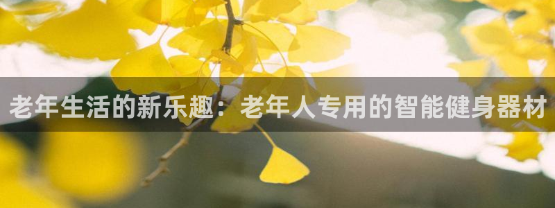 凯捷体育娱乐代理怎么样：老年生活的新乐趣：老年人专用