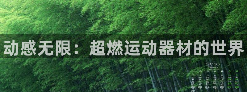 凯捷体育软件：动感无限：超燃运动器材的世界