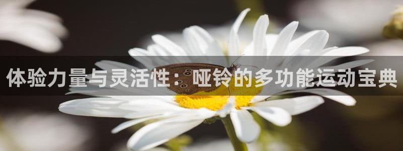 凯捷体育招商电话地址：体验力量与灵活性：哑铃的多功能
