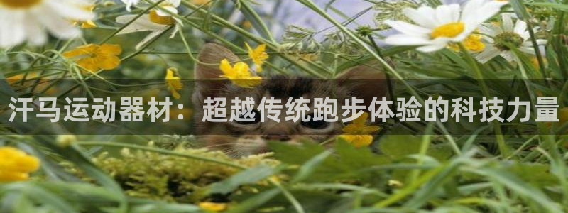 德国凯捷体育集团：汗马运动器材：超越传统跑步体验的科