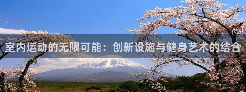 凯捷体育集团E.ON