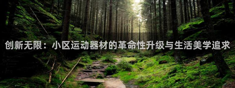 凯捷体育平台注册：创新无限：小区运动器材的革命性升级