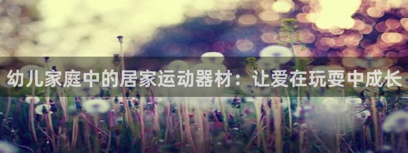 凯捷体育集团logo：幼儿家庭中的居家运动器材：让爱