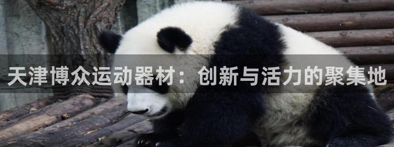 凯捷体育招商电话号码是多少号：天津博众运动器材：创新与活力的