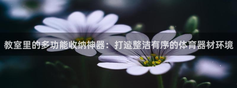 凯捷体育神州：教室里的多功能收纳神器：打造整洁有序的体育器材